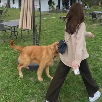 兔子杀人啊!